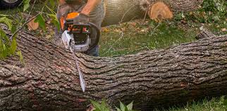 Best Artificial Turf Installation  in Hitchcock, TX